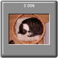 N�zev: S 006
Vyfotografov�no: 31.12.2004 10:15:56
Rozm�r: 600�449�16M
Velikost: 99,4 KB (101�789 bajt�)
Expozice: (1/68 s, F2.8, 112 ISO)
